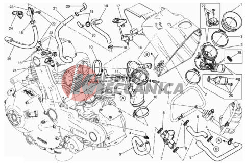 THROTTLE BODY