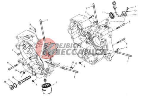 HALF-CRANKCASES PAIR
