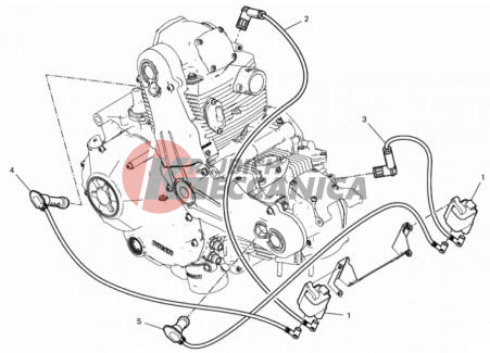 WIRING HARNESS (COIL)