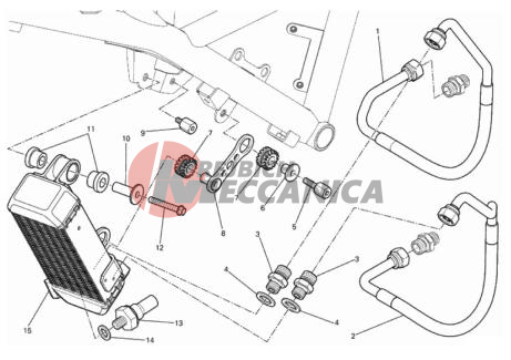 OIL COOLER
