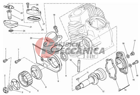 HORIZONTAL HEAD – TIMING SYSTEM