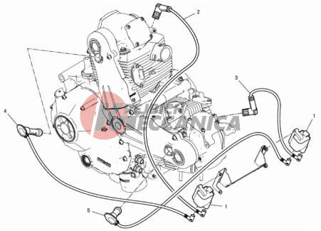 WIRING HARNESS (COIL)