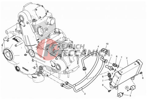 OIL COOLER