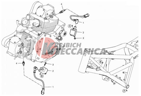 WIRING HARNESS (COIL)