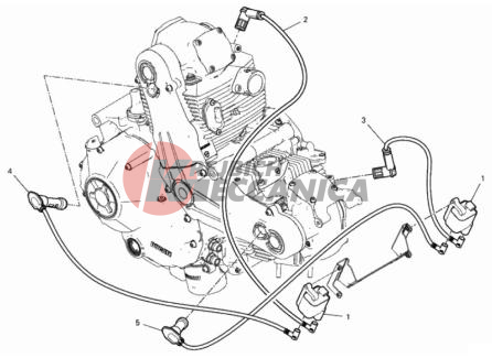 WIRING HARNESS (COIL)