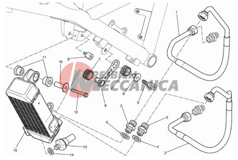OIL COOLER