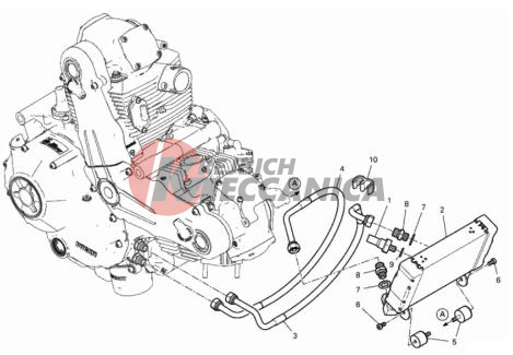 OIL COOLER