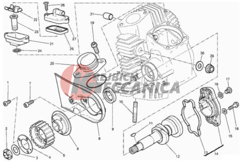 HORIZONTAL HEAD – TIMING SYSTEM