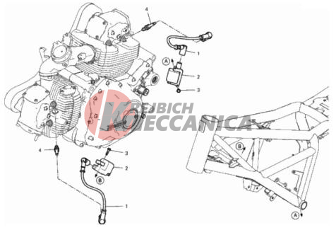 WIRING HARNESS (COIL)