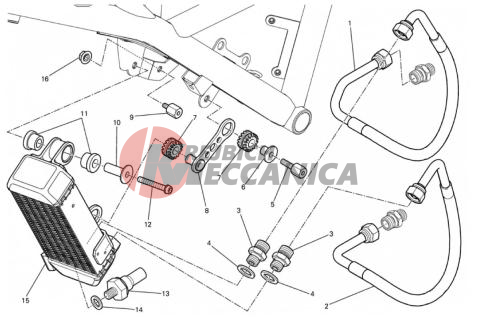 OIL COOLER