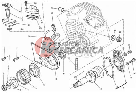 HORIZONTAL HEAD – TIMING SYSTEM